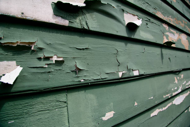 Best Engineered Wood Siding  in Bedminster, NJ