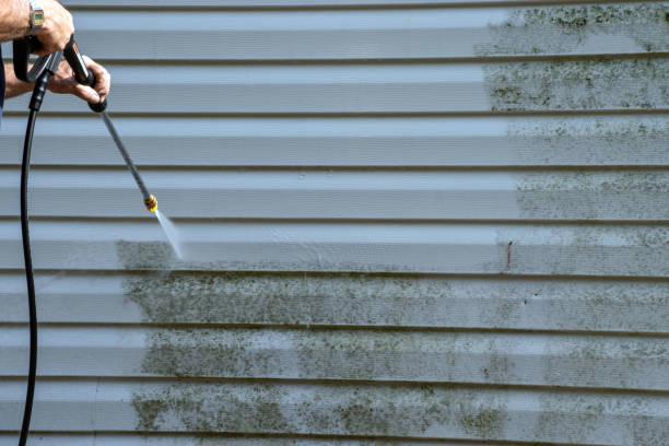 Best Historical Building Siding Restoration  in Bedminster, NJ