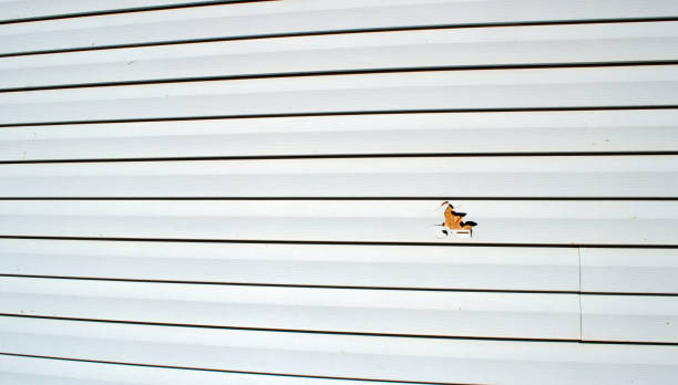 Best Residential Vinyl Siding Installation  in Bedminster, NJ